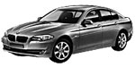 BMW F10 P131C Fault Code